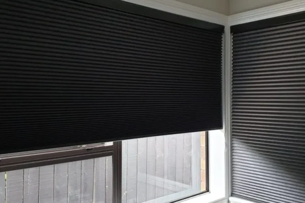 20191018_111822-1-scaled-768x768